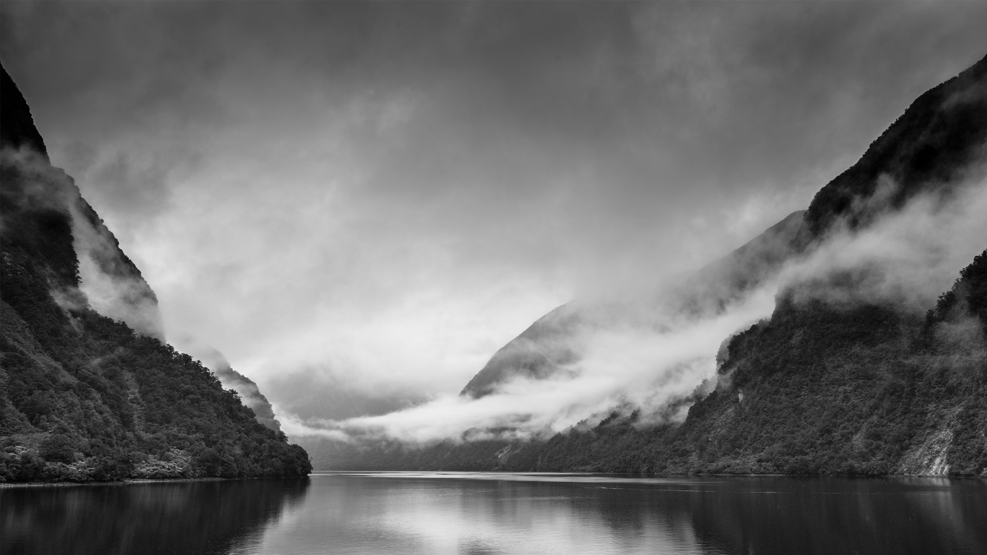 Fjord in Neuseeland